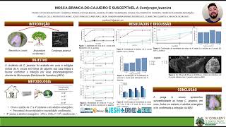 IV CONAENT  MOSCABRANCADOCAJUEIRO É SUSCEPTÍVEL A Cordyceps javanica [upl. by Milinda]