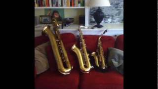 Comparing Sound Of Alto Tenor And Bari Sax [upl. by O'Shee532]