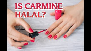 Is Carmine Halal Islamic Rulings that will Surprise You halal cosmetics halalcosmetics carmine [upl. by Donough268]