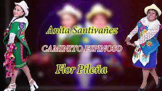 Anita Santivañez Flor Pileña  CAMINITO ESPINOSO Oficial LetraLyric Video [upl. by Roux]