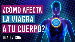 ¿Qué le ocurre a tu cuerpo al tomar viagra [upl. by Felt692]