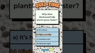 How Rockwool Promotes Faster Plant Growth hydroponicway hydroponics shorts quiz quiztime [upl. by Quartis]