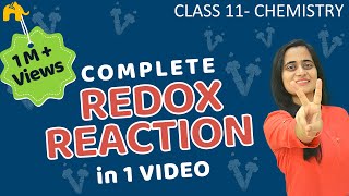 Redox Reactions Class 11  Chemistry Complete Chapter [upl. by Outlaw]