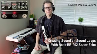 How to Use the Boss RE202 Space Echo for Sound on Sound Loops  Roland Aerophone AE20 Wind Synth [upl. by Isherwood]