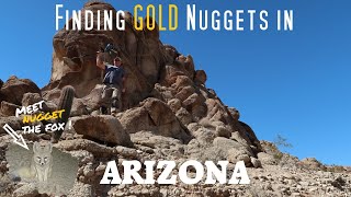 Prospecting For Gold Nuggets With Metal Detectors In the Southwestern Arizona Desert [upl. by Fennelly]