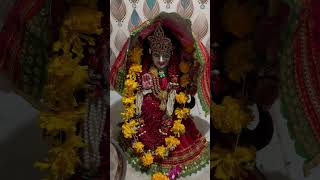 Jay meldi maa  live darshan mataji [upl. by Temp239]