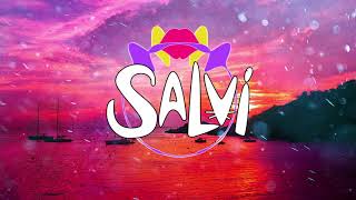 Salvi x Mon Dj  Silence Official Audio [upl. by Hirz]