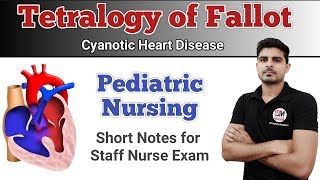 Tetralogy of Fallot  Pediatric Nursing [upl. by Ecinna617]