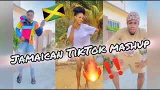 NEW JAMAICAN TIKTOK DANCE MASHUP 2024 [upl. by Yesdnik428]