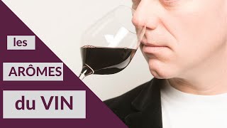 COURS DOENOLOGIE et de DÉGUSTATION  les arômes du vin [upl. by Nylcaj]