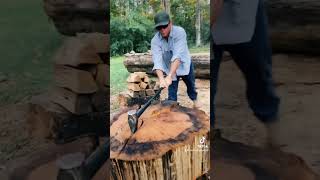 Big Water Oak 36” firewood oak fyp fypシ capcut stihl summer freefire hot fypシ゚viral [upl. by Nahamas]