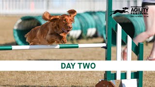 The Kennel Club International Agility Festival 2024  Day 2 Main Ring [upl. by Acimaj]