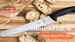 What Is Serrated Knife Used For 4 Superb Usage Of This Knife [upl. by Ravahs938]