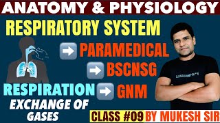 RESPIRATION EXCHANGE OF GASES II RESPIRATORY SYSTEM II CLASS 09 II COMPOSITION OF AIR II BSCNSG I [upl. by Giguere]