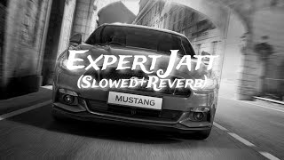 Expert Jatt SlowedReverb  Nawab Subscribe [upl. by Alper852]