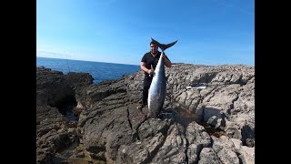 59 KG TUNA LANDBASED WITH SHORE JIGGING TACKLE [upl. by Toft817]