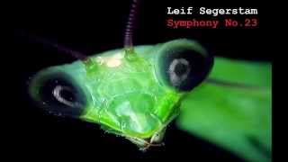 Leif Segerstam SYMPHONY No23  Afterthoughts Questioning Questionings [upl. by Nanaj]