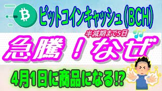 【ビットコインキャッシュBCH】24hで15％以上高騰！なぜ？【仮想通貨】4月1日に商品になる⁉半減期どうなる [upl. by Cohligan]