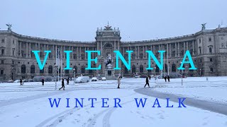 Vienna Walk  Heavy Snowfall  4K UHD [upl. by Alroi42]