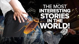 The Most Interesting Stories In The World [upl. by Oilejor]