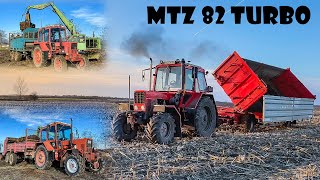 Trágyaszórás  MTZ 82 Turbo  2x MTZ  T088RA80  Weimar  Spreading Manure 2020 [upl. by Miguela650]