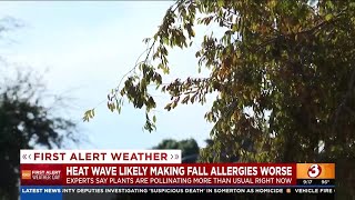 Arizona allergists say lingering heat may be to blame for fall allergies [upl. by Anicart57]