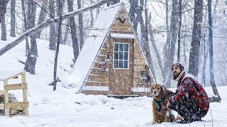 BLIZZARD AT THE CABIN  2 Days in a Winter Storm with my Dog [upl. by Oneil]