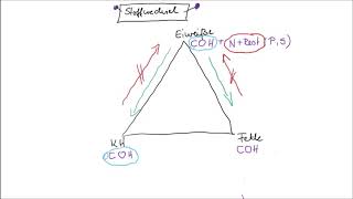 Stoffwechsel einfach erklärt Teil 1 [upl. by Eiramannod]