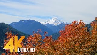 Autumn Colors in Washington State  4K Nature Relax Autumn Video  4 HRS [upl. by Thibault]