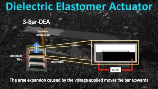 Development of a DEA driven vibratory conveyor [upl. by Mccowyn944]