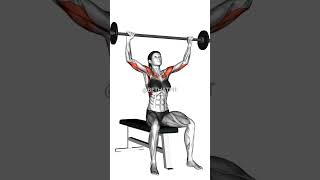 Barbell workout for beginners [upl. by Broeder]