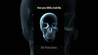 See Human skull rotation like never before skull [upl. by Aerb]