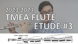 20232024 Texas All State Flute Etude 3 KargElert Op 10728 [upl. by Notsirt505]