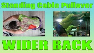 How to do STANDING CABLE PULLOVERS Straight Arm Pulldowns for a WIDER BACK [upl. by Celestyn]