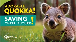 The Adorable Quokka Conservation Efforts You Need to Know [upl. by Elleral]