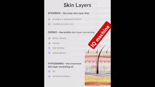 From Epidermis to Hypodermis A Journey Through Your SkinLayersbiology viraltrendingshorts gkgs [upl. by Yvette]