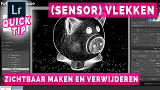 Sensor vlekken en stof zichtbaar maken en verwijderen  Lightroom Tutorial Nederlands [upl. by Humfried]