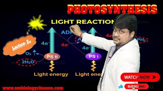 Photosynthesis Light Reaction  Class XI amp NEET Lecture2 [upl. by Opaline]