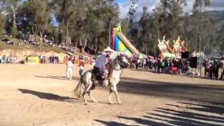 Caballo bailando CHOTA  PERÚ [upl. by Llenoj]