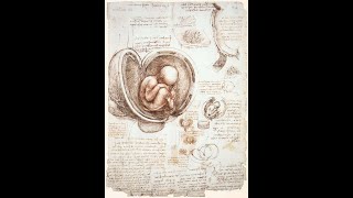 Overview of Paradigm Shifts in Embryology PSE  A Clinical and Embodied Embryology Course  Alaya [upl. by Eiramasil]