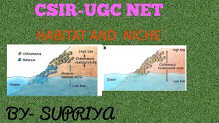 habitat and niche  fundamental niche vs realized niche  csir net life science [upl. by Jannery449]