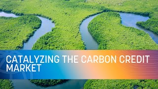 COP27  Catalyzing the Carbon Credit Market [upl. by Knighton]