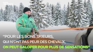 Ski joëring un nouveau plaisir de la glisse [upl. by Batista]