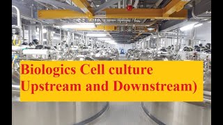 cell culture processes biological pharmaceuticaltechnology [upl. by Ohare16]