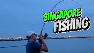 Mangrove Jack Stingray CerminKerapuIkan Kerisi amp Sotong Mabang caught at MSP  Singapore Fishing [upl. by Eeliah]