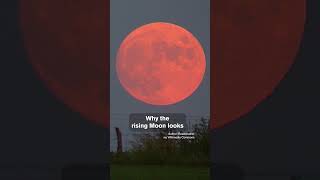 The Pink Moon Explained What Causes its Pinkish Hue [upl. by Bussy]