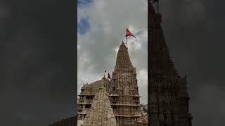 dhaja bavan gaj ni farke status âœ¨Jay dwarkadhish ðŸ™Radhe RadheNew videonew statusyoutubeshorts [upl. by Edorej]