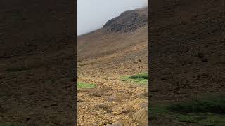 Camouflage in Tablelands at Grosse morne [upl. by Marve]