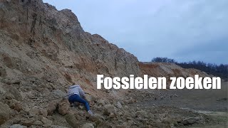 Fossielen zoeken [upl. by Eelame]