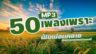 รวมเพลง 50 เพลงเพราะ MP3 ฟังผ่อนคลาย [upl. by Lindsy]